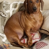 Entry image for Squishy