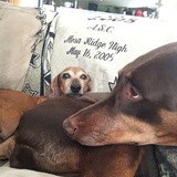 Entry image for Emily (and Sophie)