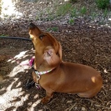 Entry image for Chili