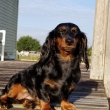 Entry image for Georgina An aka George 