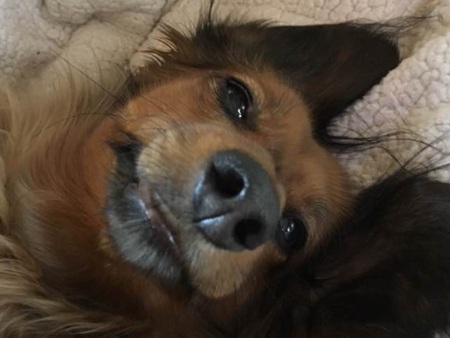 Entry image for Reba. Clicking this image will show a larger photo