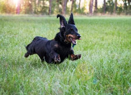 Entry image for Jake. Clicking this image will show a larger photo