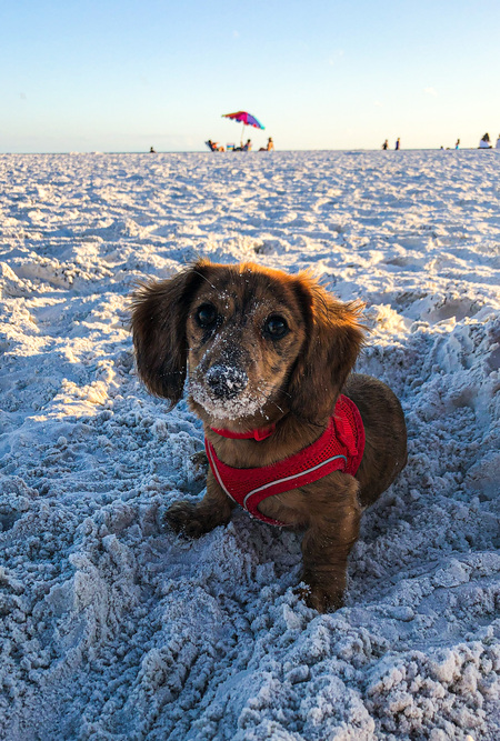 Entry image for Cozzie. Clicking this image will show a larger photo