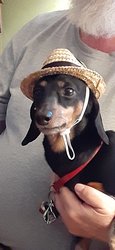 Entry image for Max . Clicking this image will show a larger photo