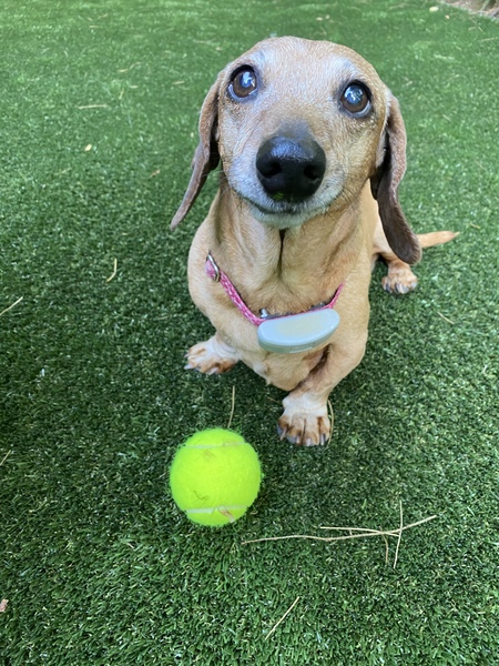 Entry image for Noodles. Clicking this image will show a larger photo