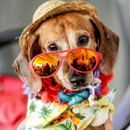 Entry image for Tucker Woo Woo. Clicking this image will show a larger photo