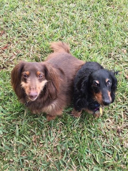 Entry image for Jackson and Chandler. Clicking this image will show a larger photo