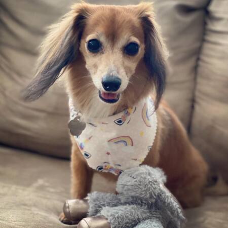 Entry image for Brooke. Clicking this image will show a larger photo