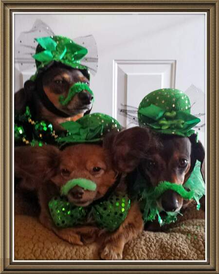 Entry image for Dimes tilly sophie. Clicking this image will show a larger photo