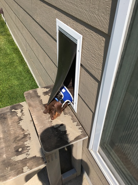 Entry image for Erich . Clicking this image will show a larger photo