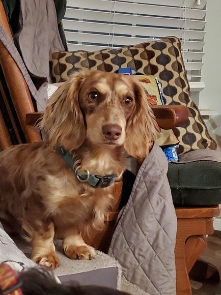 Entry image for Logan. Clicking this image will show a larger photo