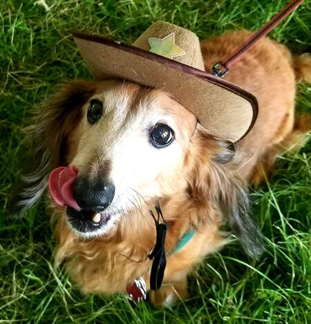 Entry image for Charlie. Clicking this image will show a larger photo