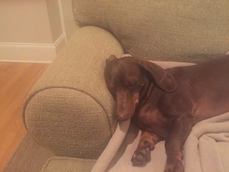 Entry image for Sealy. Clicking this image will show a larger photo