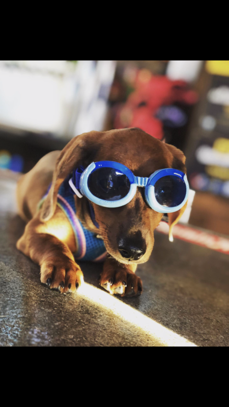 Entry image for Mason. Clicking this image will show a larger photo