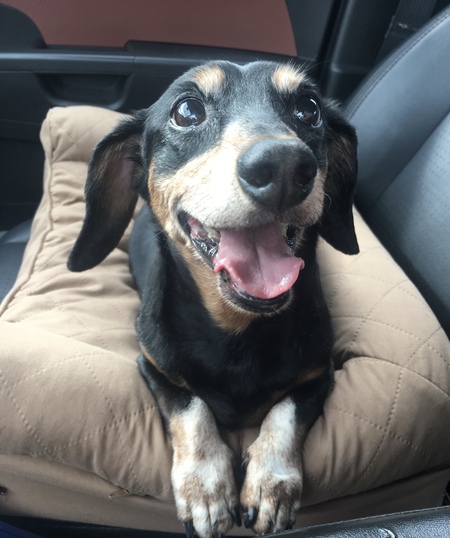 Entry image for Nathan. Clicking this image will show a larger photo