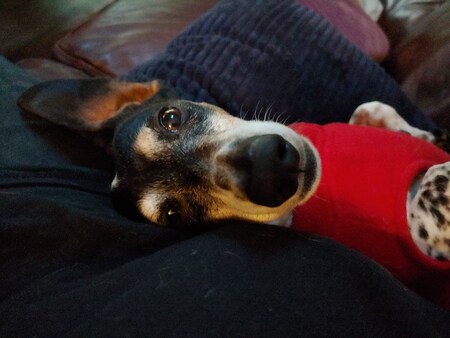 Entry image for Chuck. Clicking this image will show a larger photo