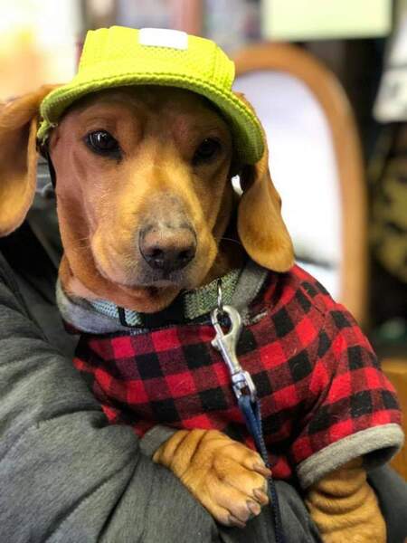 Entry image for Max. Clicking this image will show a larger photo