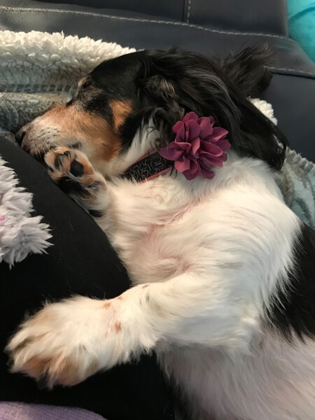 Entry image for Toby Keith. Clicking this image will show a larger photo