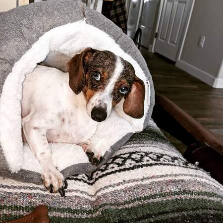 Entry image for Missy. Clicking this image will show a larger photo