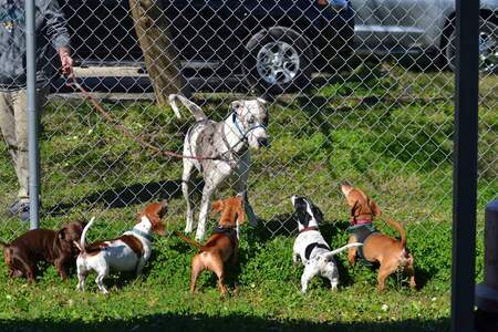 Entry image for Chuck and friends. Clicking this image will show a larger photo