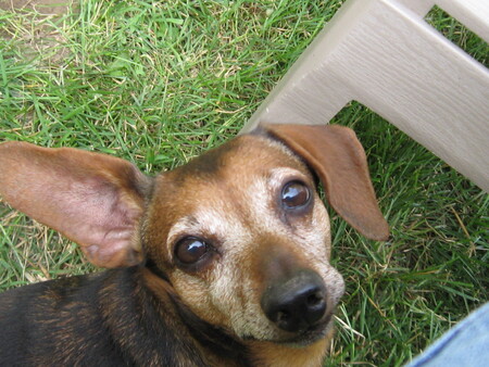 Entry image for Colt. Clicking this image will show a larger photo