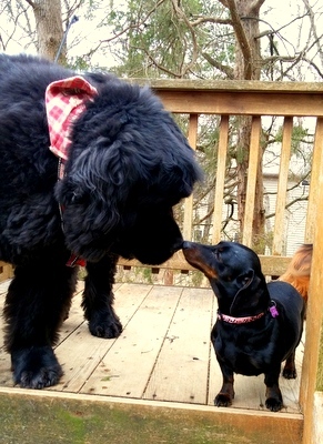 Entry image for Demi Moore. Clicking this image will show a larger photo