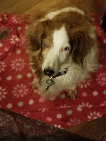 Entry image for Ryley. Clicking this image will show a larger photo