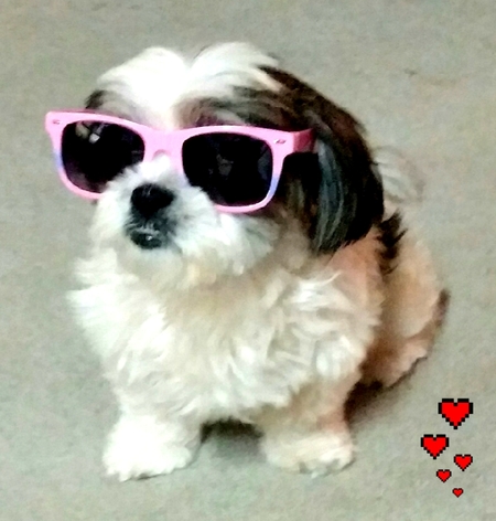 Entry image for CeeCee. Clicking this image will show a larger photo