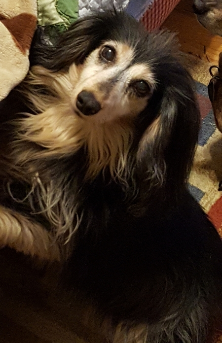 Entry image for Aura. Clicking this image will show a larger photo