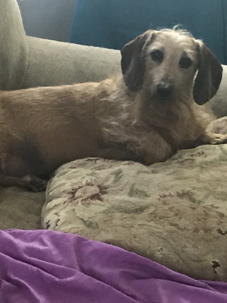 Entry image for Max. Clicking this image will show a larger photo