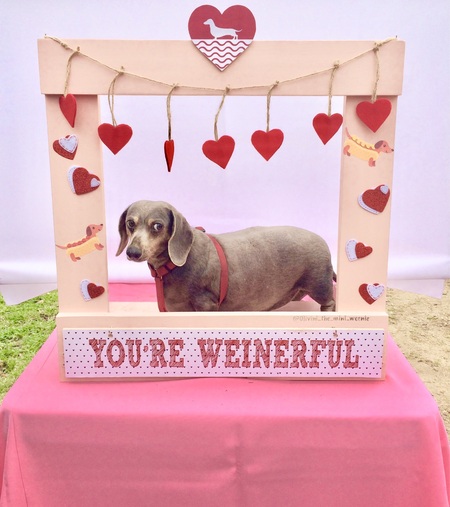 Entry image for Charly. Clicking this image will show a larger photo