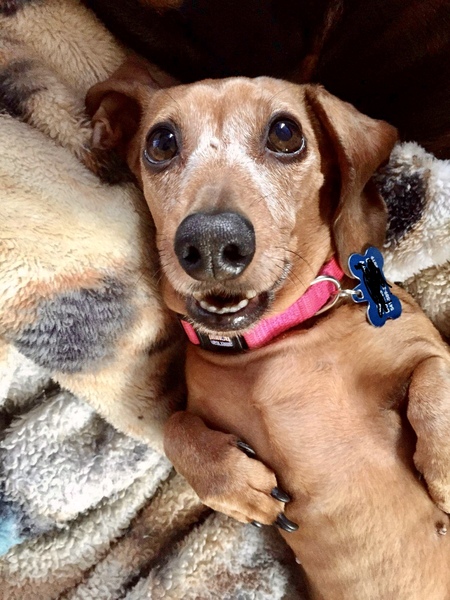 Entry image for Jazmine . Clicking this image will show a larger photo