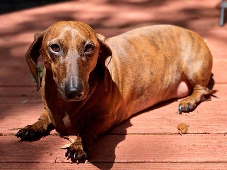 Entry image for Jordan. Clicking this image will show a larger photo