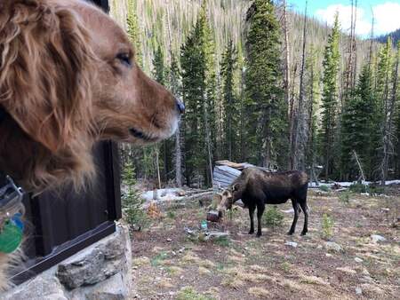 Entry image for Fred. Clicking this image will show a larger photo