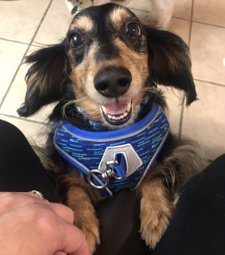 Entry image for Albey. Clicking this image will show a larger photo