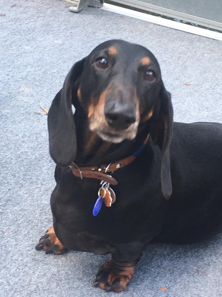 Entry image for Blake. Clicking this image will show a larger photo