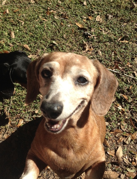 Entry image for Tanner. Clicking this image will show a larger photo