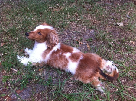 Entry image for Po. Clicking this image will show a larger photo