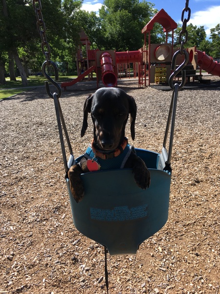 Entry image for Hans. Clicking this image will show a larger photo