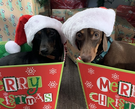 Entry image for Hans and Erich. Clicking this image will show a larger photo