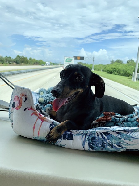 Entry image for Onslow. Clicking this image will show a larger photo