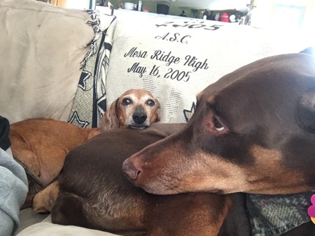 Entry image for Emily (and Sophie). Clicking this image will show a larger photo