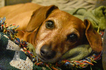 Entry image for Victor. Clicking this image will show a larger photo