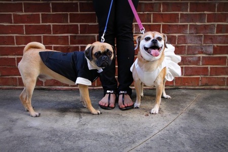 Jaxson and Coco
