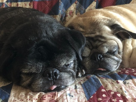 Bear & Mama Mia