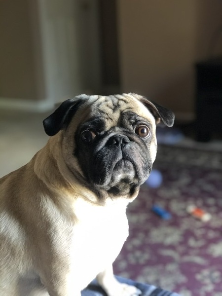 Franklin