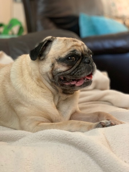Sophie