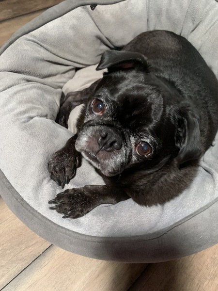 Benny