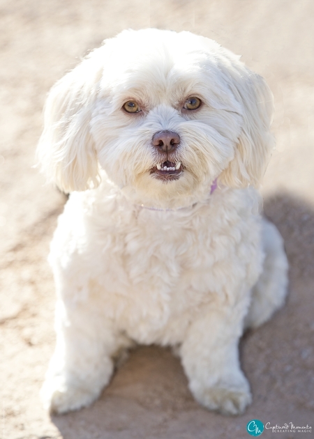 Darby