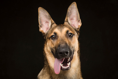 Jax